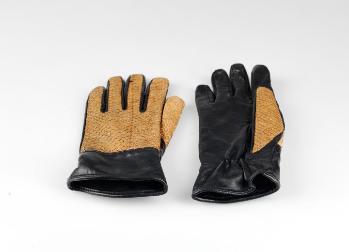 Fishskin Gloves
